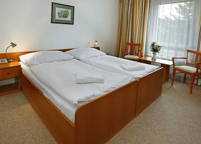 Hotel Devin 4*