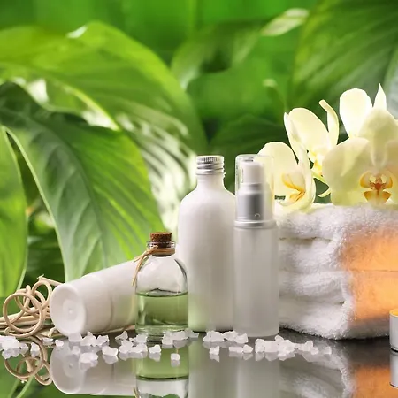 Spa Devin 4* Mariánské Lázně
