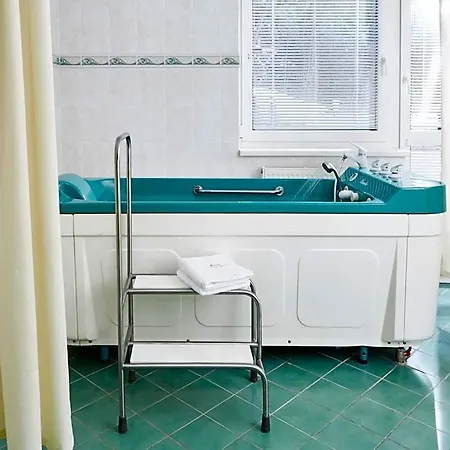 Hotel Spa Devin 4*