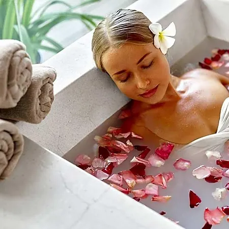Hotel Spa Devin 4*